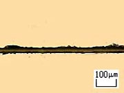 Typical Grit Size (#2000)